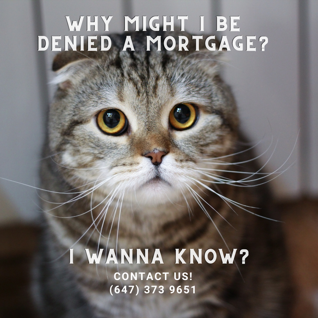 Dominion Lending Centre Mortgage House Faizal Garasia | 325 Regina St N #2, Waterloo, ON N2J 3C1, Canada | Phone: (416) 825-0142