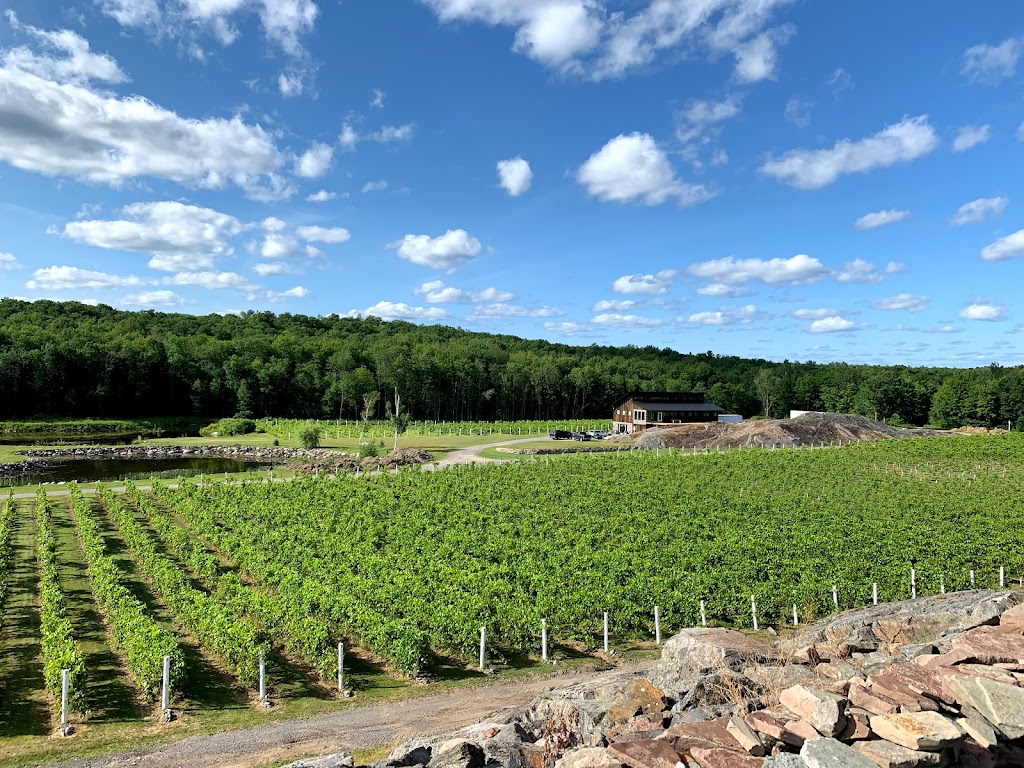 Potter Settlement Vineyards and Artisan Winery | 1445 Potter Settlement Rd, Tweed, ON K0K 3J0, Canada | Phone: (613) 478-1478