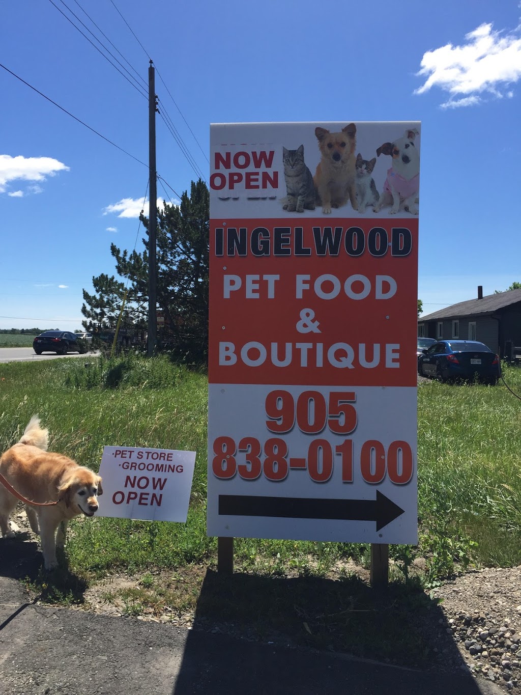 Inglewood Pet Food and Boutique | 15352 Hurontario St, Caledon, ON L7C 2C3, Canada | Phone: (905) 838-0100