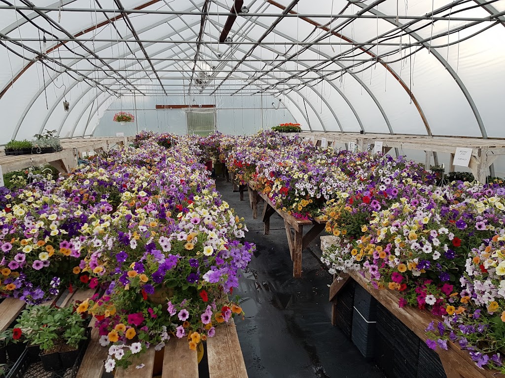 Creekside Greenhouses | 597 Jamieson Creek Main Haul Rd, Kamloops, BC V2B 8S2, Canada | Phone: (250) 579-9296