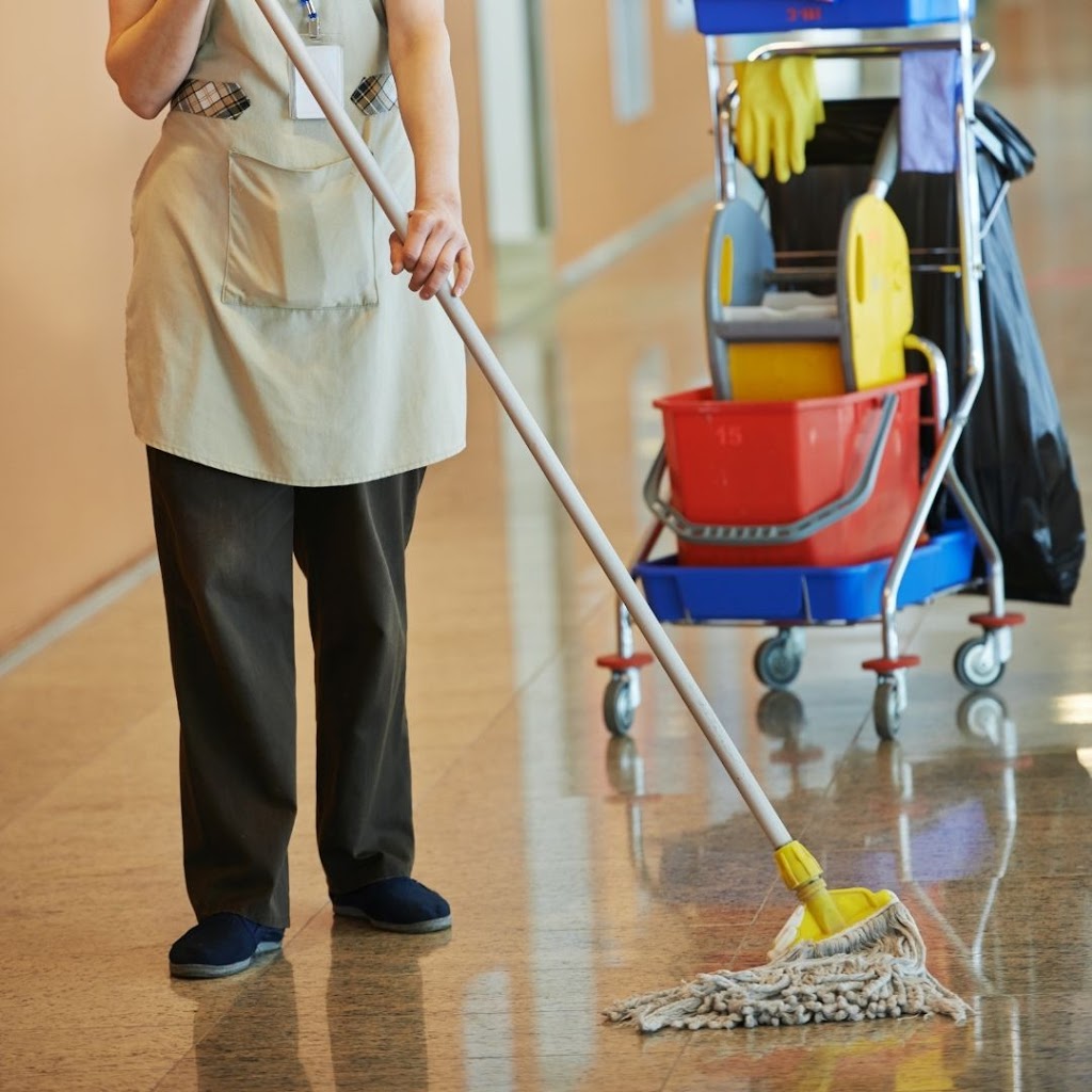 Fine Cleaning Services Surrey | 10065 129 St Unit# E, Surrey, BC V3T 3G6, Canada | Phone: (604) 337-1272