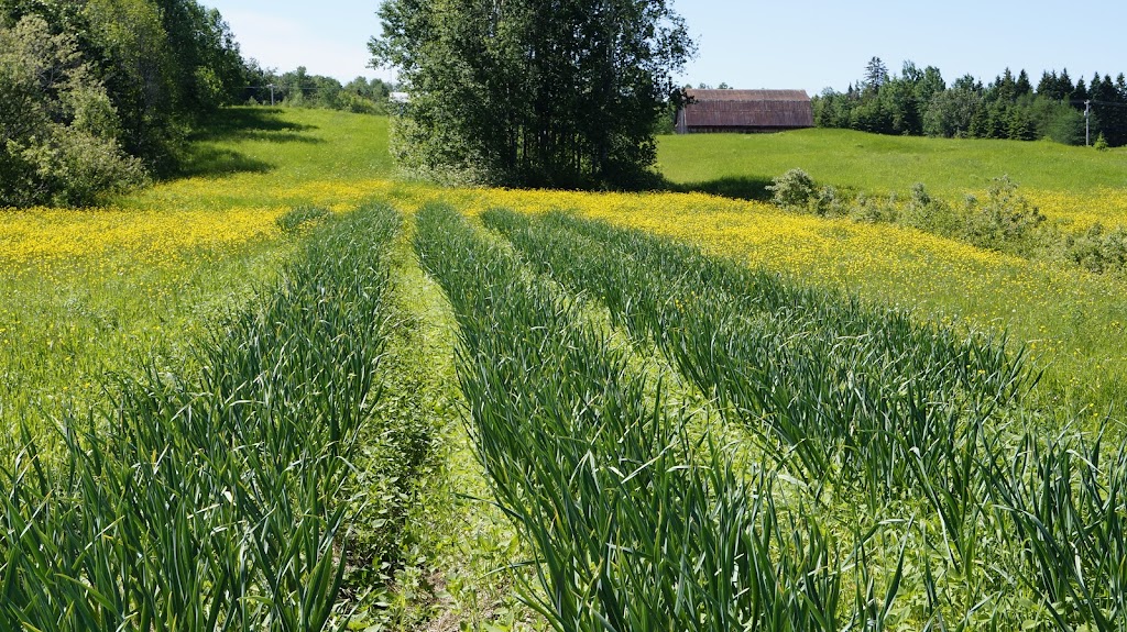 Ferme les pieds dans le champ | 151 Chem. Taché E, Saint-Marcel, QC G0R 3R0, Canada | Phone: (418) 356-2737