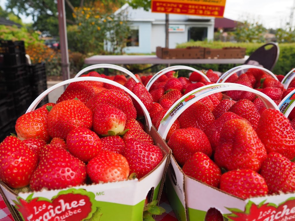 Marché public de Pont-Rouge | 189 Rue Dupont, Pont-Rouge, QC G3H 1N4, Canada | Phone: (418) 925-8098