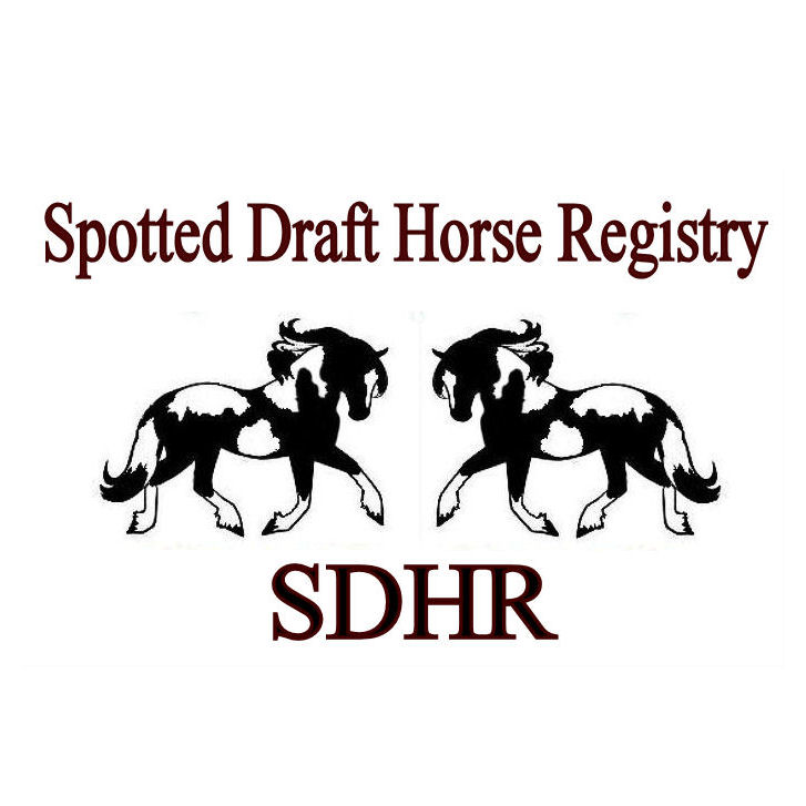 Spotted Draft Horse Registry | Nichol Rd, Moosehorn, MB R0C 2E0, Canada | Phone: (204) 500-8367