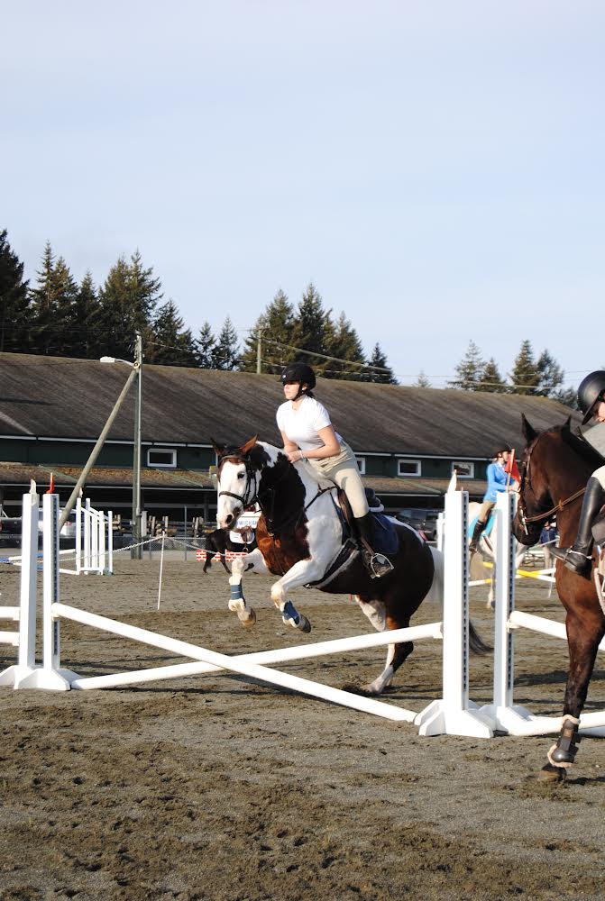 Abbey Road Farm | 3260 Doupe Rd, Duncan, BC V9L 6P1, Canada | Phone: (250) 732-3525