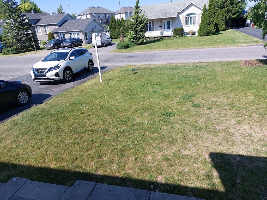cVert - Entretien de pelouse au Québec | 1635 Rue Galt O, Sherbrooke, QC J1K 1J1, Canada | Phone: (844) 412-8378