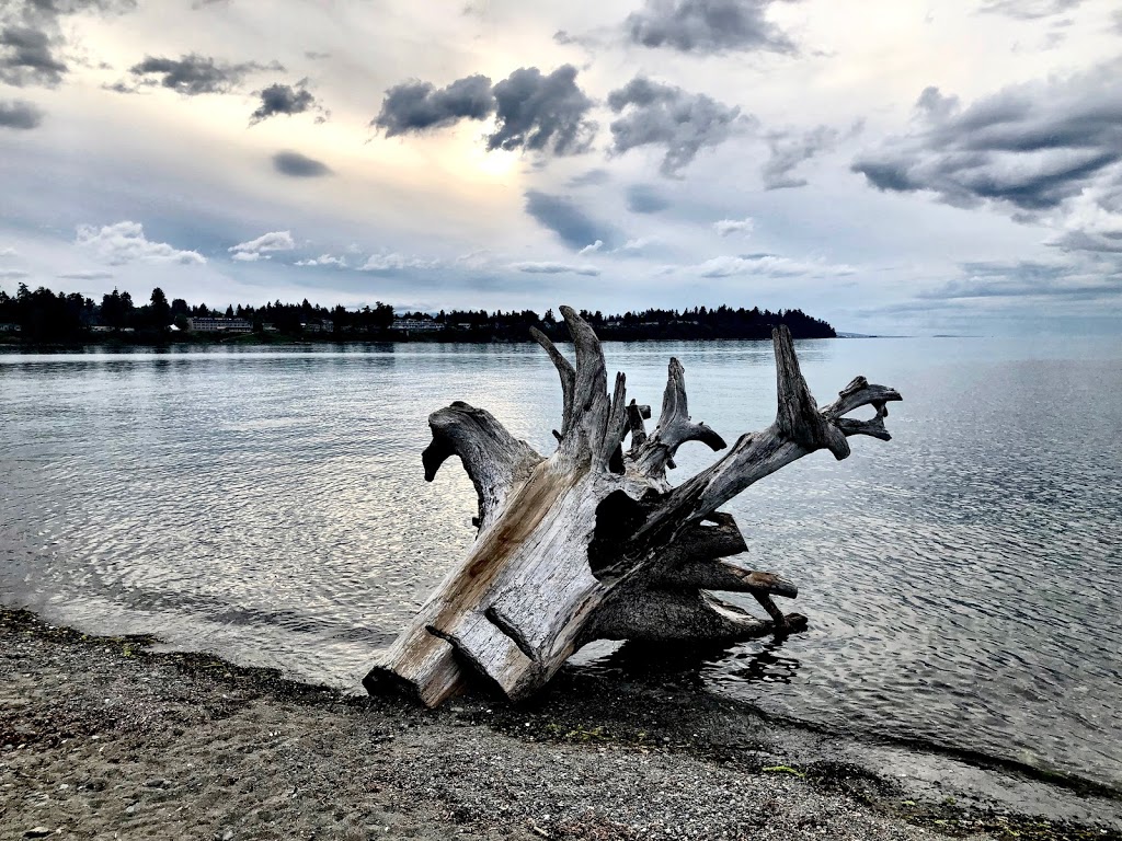 Parksville Sand Castle Sculpture Competition | 193 Beachside Dr, Parksville, BC V9P 0B1, Canada | Phone: (250) 951-2678