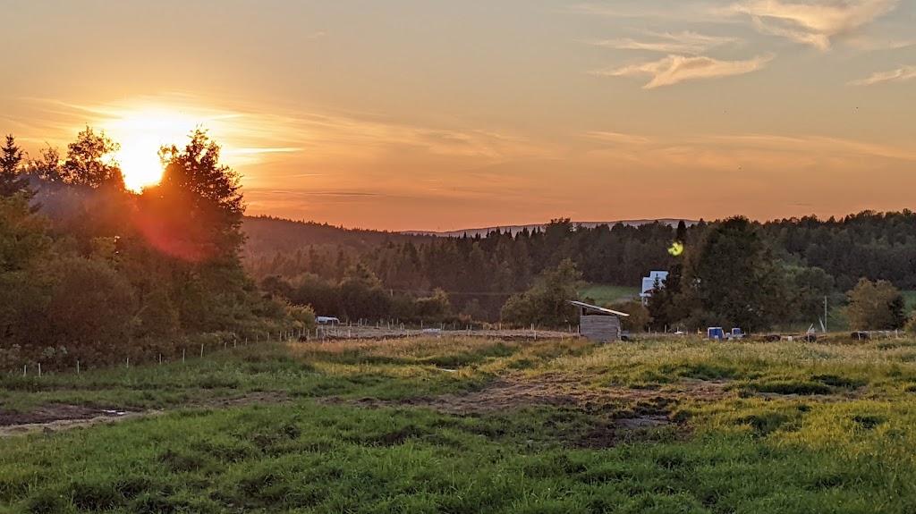 Ferme Dans LVent | 1420 QC-216, Saint-Adrien, QC J0A 1C0, Canada | Phone: (819) 990-0910