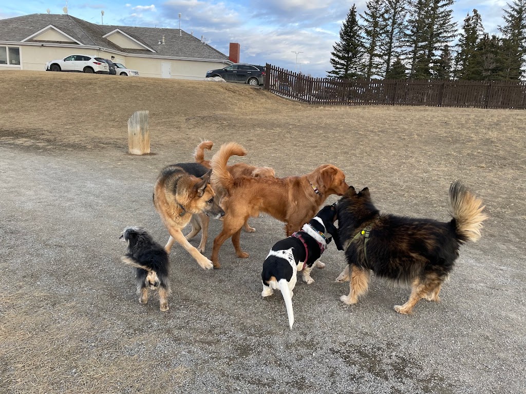 Scenic Drive Dog Run | 1107 6 St S, Lethbridge, AB T1J 1T1, Canada | Phone: (403) 320-4099