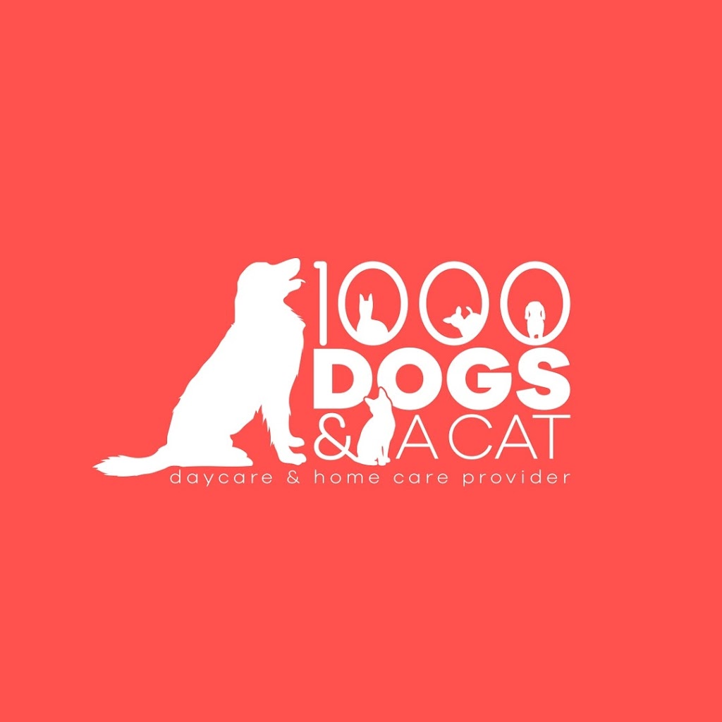 1000dogsandacat | 20718 Vanneck Rd, London, ON N6H 5L2, Canada | Phone: (226) 700-5338