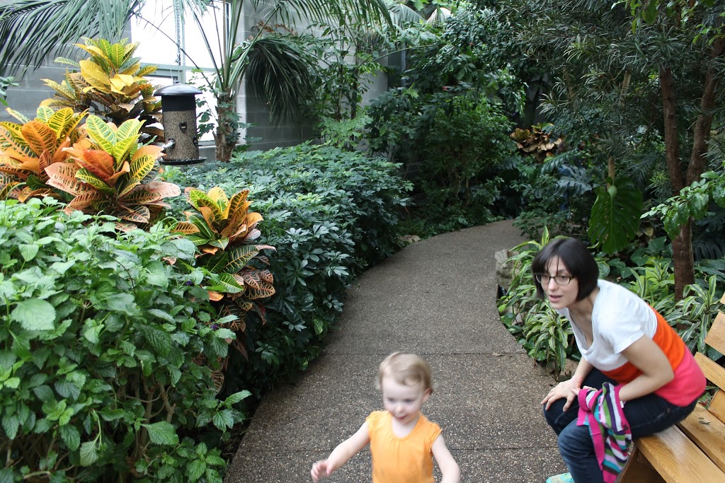 Cambridge Butterfly Conservatory | 2500 Kossuth Rd, Cambridge, ON N3H 4R7, Canada | Phone: (519) 653-1234