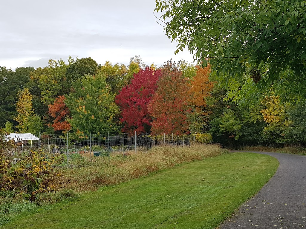 Parc Michel Chartrand | 1800 Chemin du Lac, Longueuil, QC J4J 4V5, Canada | Phone: (450) 468-7619