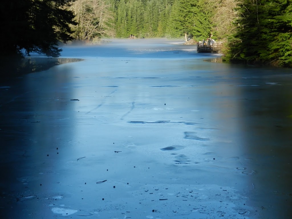 Lynn Canyon Ecology Centre | 3663 Park Rd, North Vancouver, BC V7J 3G3, Canada | Phone: (604) 990-3755