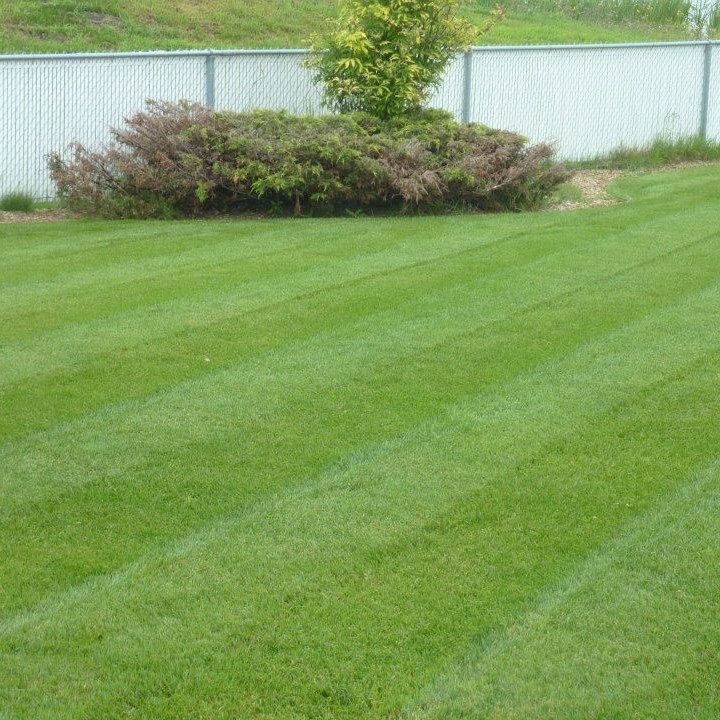 Scotts Quality Lawn Care | 5234 46 St, Camrose, AB T4V 1H3, Canada | Phone: (780) 678-6450