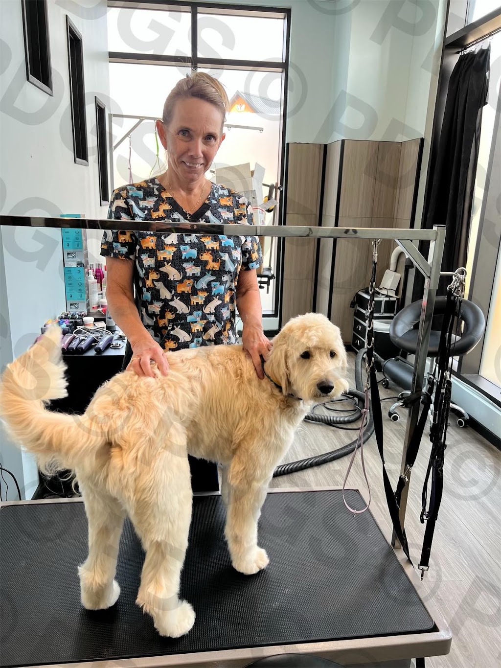 Prestige Dog Grooming School | 500 Royal Oak Dr NW, Calgary, AB T3G 0E8, Canada | Phone: (403) 396-1769