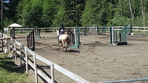 Sprout Meadow Stables | 3583 Dove Creek Rd, Courtenay, BC V9J 1R9, Canada | Phone: (250) 650-6218