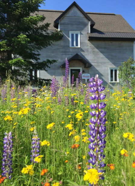 School Les Âmes Fleurs | 2795 Rue Rolland, Sainte-Adèle, QC J8B 1C9, Canada | Phone: (514) 712-8108