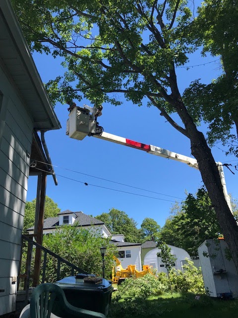 Ken Gilbert Bucket Truck Service | 18905 Nova Scotia Trunk 2, Nappan, NS B0L 1C0, Canada | Phone: (902) 669-0646