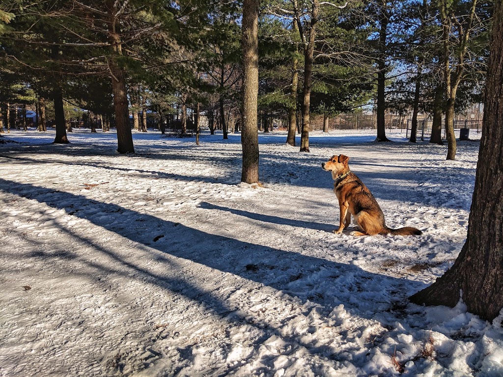 Glen Eton Dog Park | 1B2, 99-161 Brentwood Rd, Angus, ON L0M 1B2, Canada