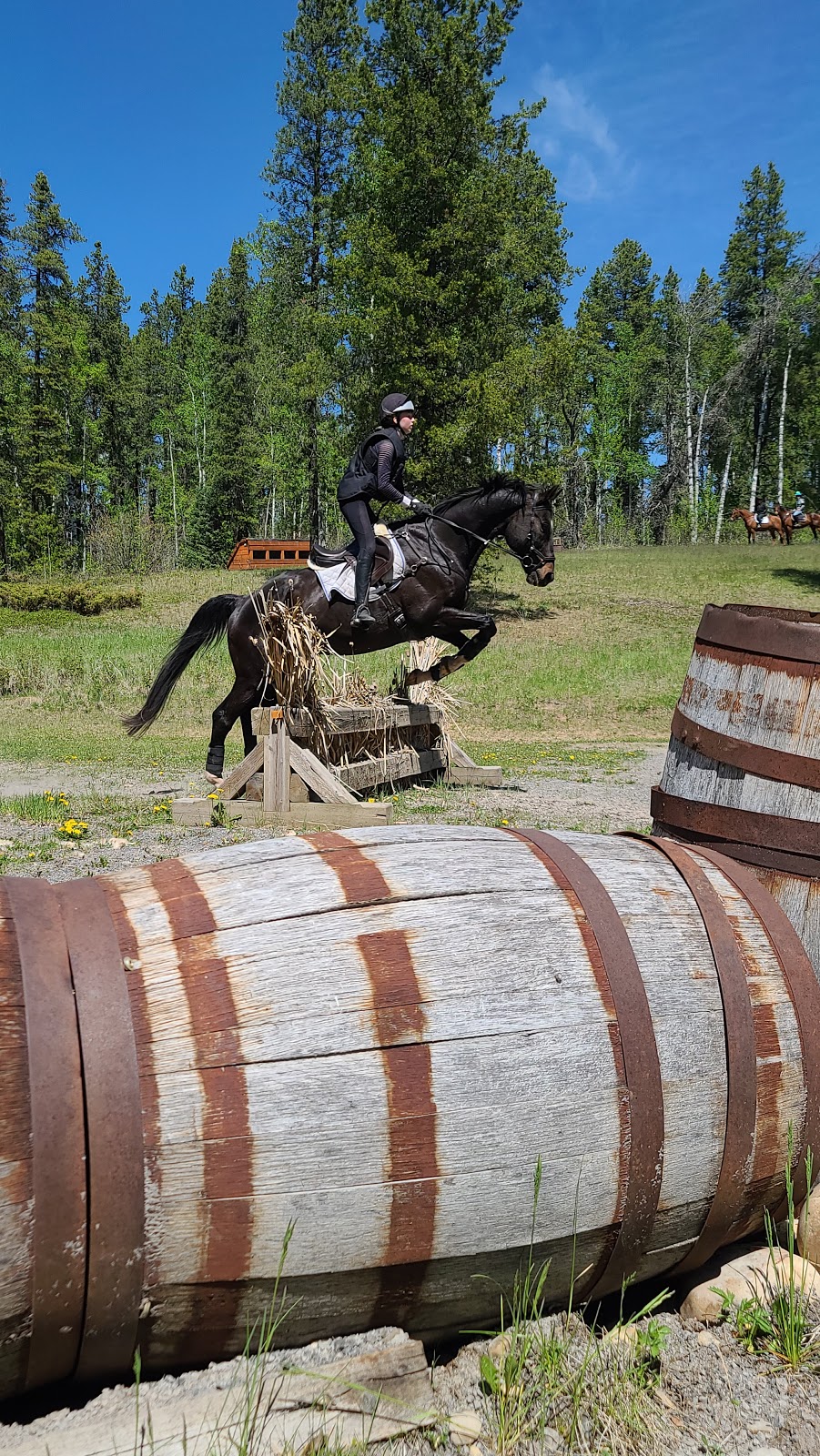 Prentice Creek Equestrian Centre | Clearwater County, AB T0M 0C0, Canada | Phone: (403) 846-8756