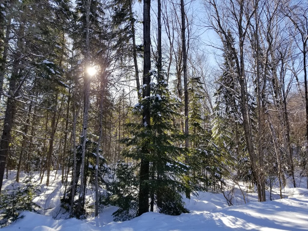 Auberge du Lac Priscault | 100 Rang Petit Beloeil, Saint-Côme, QC J0K 2B0, Canada | Phone: (514) 554-1183