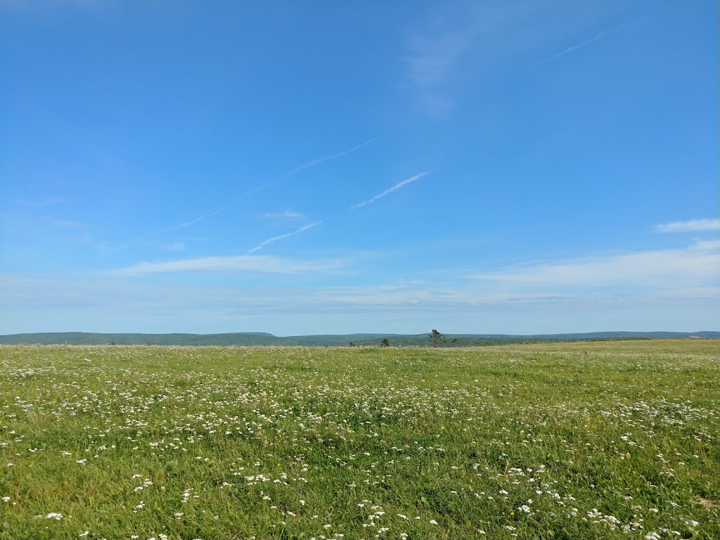 Mabou Ridge Farm | Mabou Station, NS B0E 1X0, Canada | Phone: (902) 945-2248