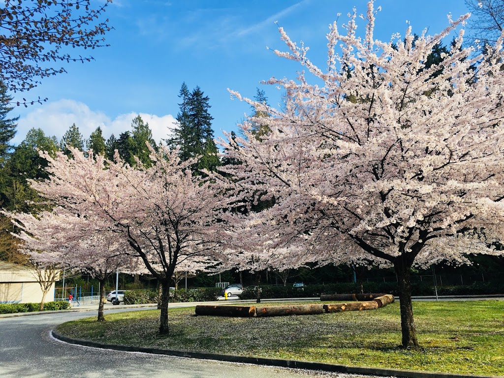 École Coquitlam River Elementary School | 4250 Shaughnessy St, Port Coquitlam, BC V3E 3E5, Canada | Phone: (604) 942-0241