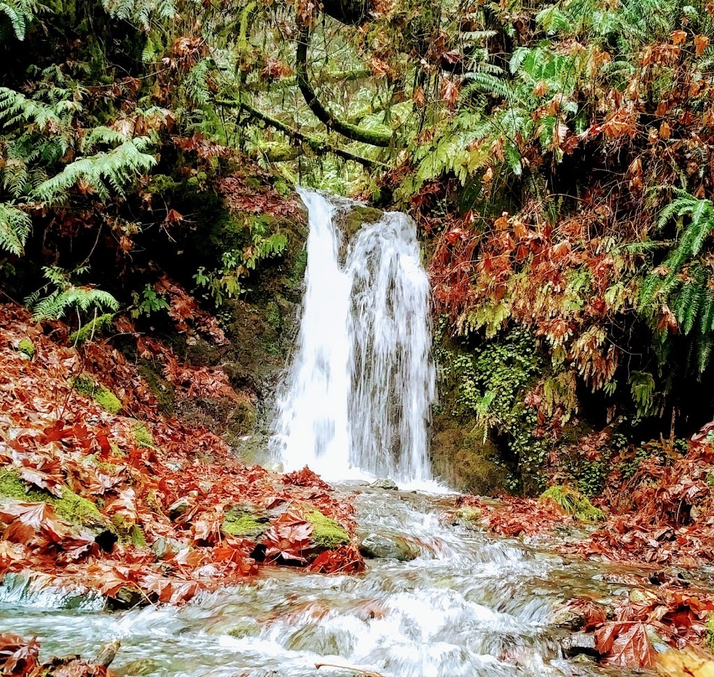 Hidden Falls In Goldstream Park | Langford, BC V0R, Canada