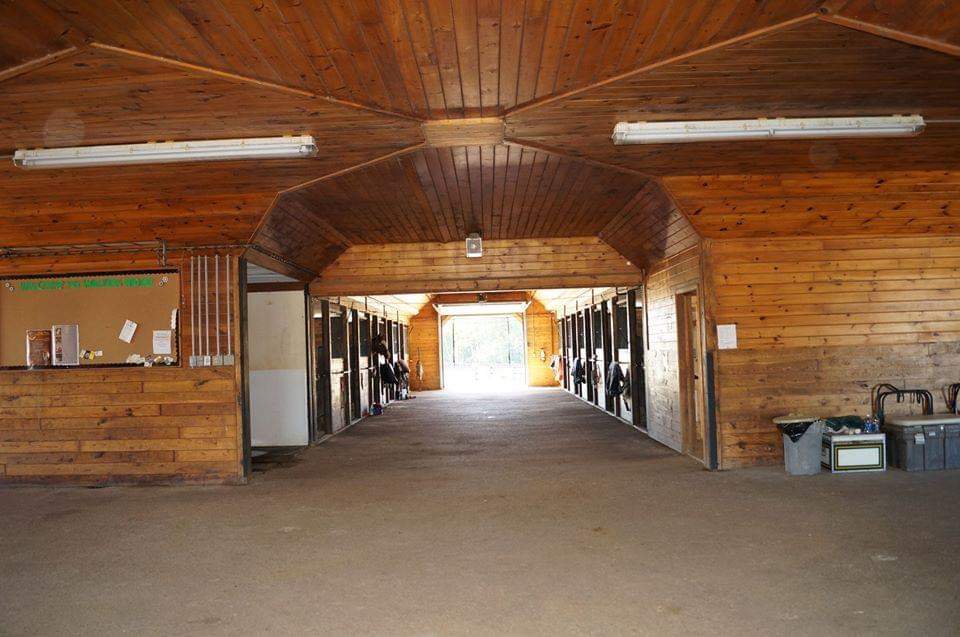 Walden Ridge Equestrian Ctr | 3074 Chilligo Rd, Cambridge, ON N3H 4R6, Canada | Phone: (519) 239-0942