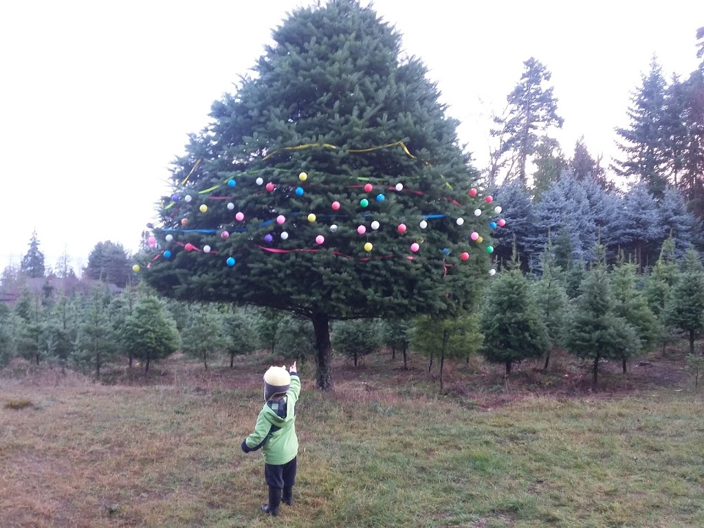 Lantzville U-CUT Christmas Tree Farm | 6930 Owen Rd, Lantzville, BC V0R 2H0, Canada | Phone: (250) 619-4392