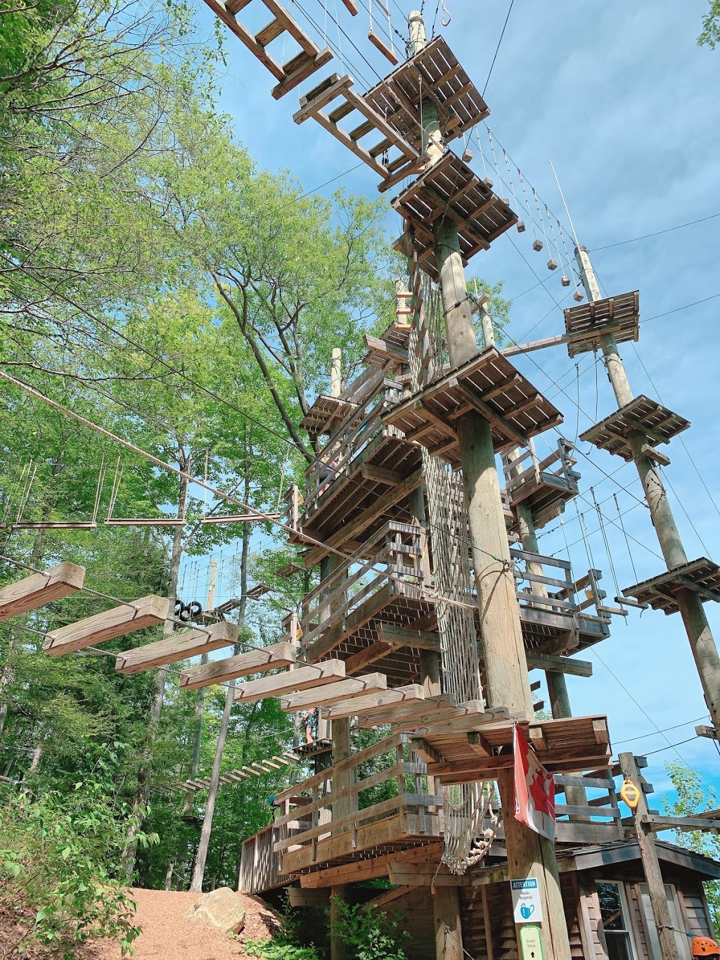 Timber Challenge High Ropes | 150 Jozo Weider Blvd Unit AS10, The Blue Mountains, ON L9Y 0P7, Canada | Phone: (833) 583-2583