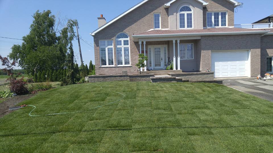 Pose de Tourbe - Paysagement C.S.I Les Experts INC | 307 Rue Sainte-Marie, Saint-Jean-sur-Richelieu, QC J3B 1J2, Canada | Phone: (514) 712-8378