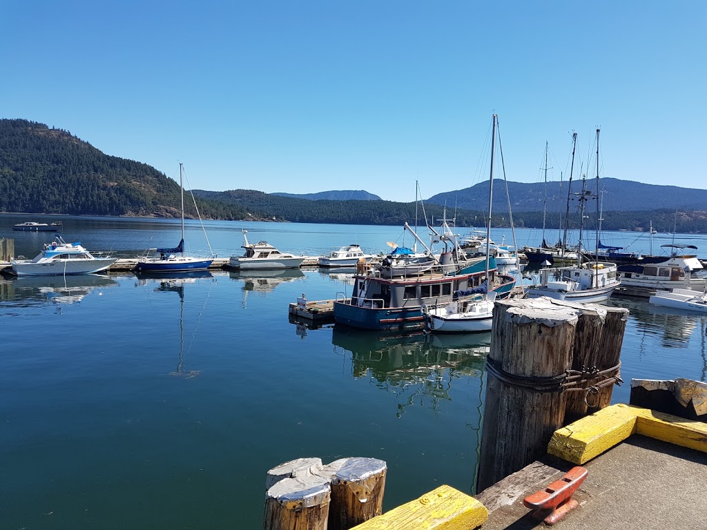 Ocean Ecoventures Whale Watching | 1721 Cowichan Bay Rd, Cowichan Bay, BC V0R 1N0, Canada | Phone: (250) 748-3800