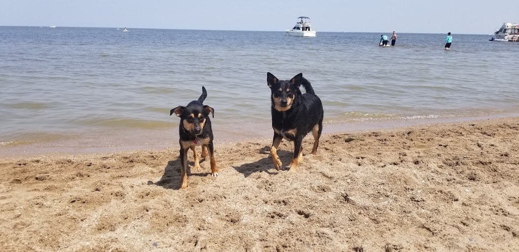 Winnipeg Beach Dog Beach | Winnipeg Beach, MB, Canada