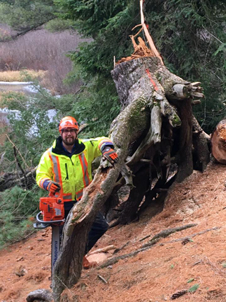 Plunketts Tree Removal Bancroft | 212 McDonald Mine Rd, Bancroft, ON K0L 1C0, Canada | Phone: (613) 334-9383