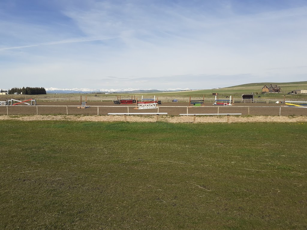 Powers Equestrian | Township Rd 202, Black Diamond, AB T1S 1A1, Canada | Phone: (403) 585-2044