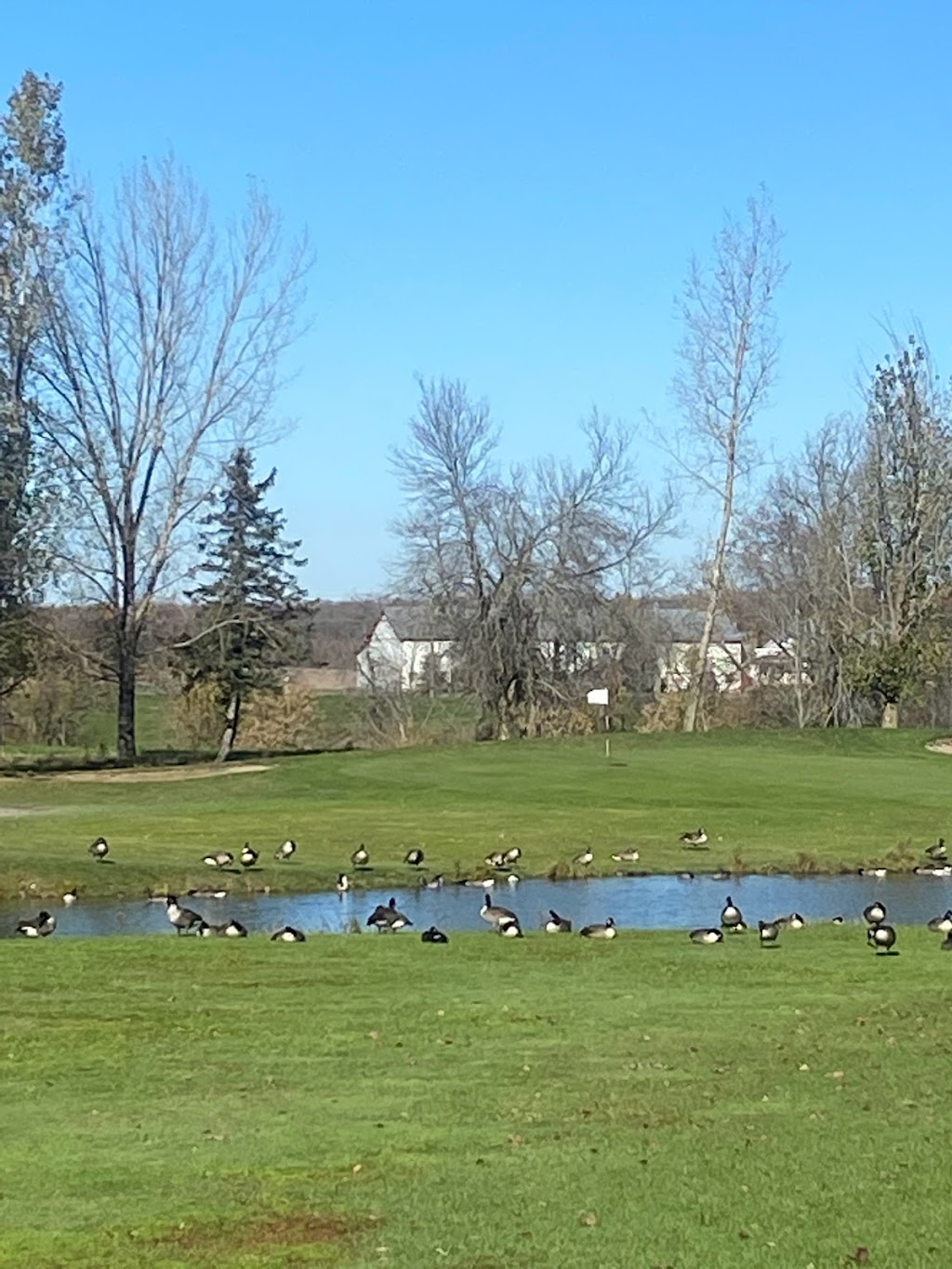 Mirabel Golf Club | 19150 Rue Charles, Mirabel, QC J7J 1P1, Canada | Phone: (450) 435-7006