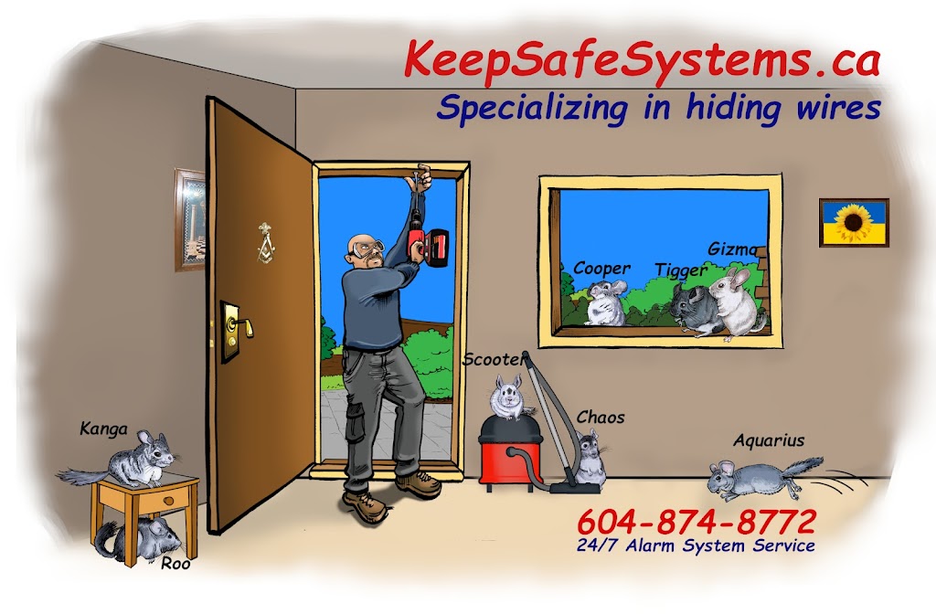 KeepSafe Systems | 6240 Sunwood Dr, Delta, BC V4E 3E2, Canada | Phone: (604) 874-8772