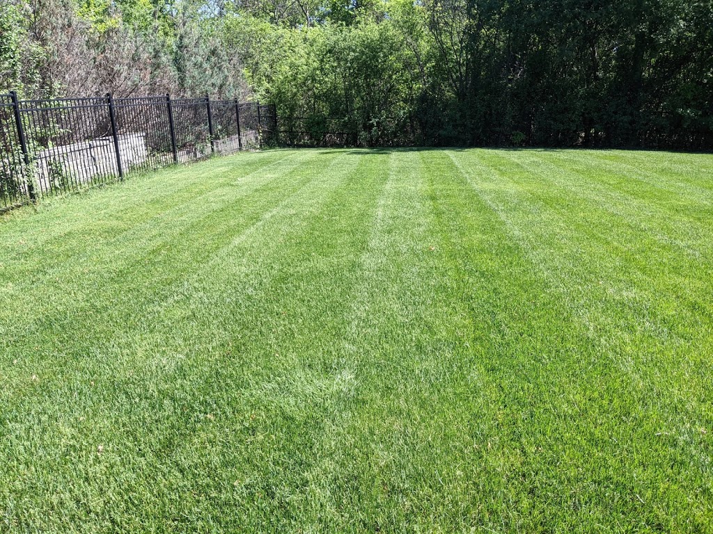 Connected Lawn Care | 146 Lakeshore Rd W Suite 484, Oakville, ON L6K 1E0, Canada | Phone: (416) 937-6702