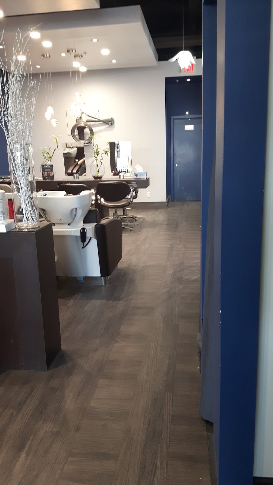 Blue Gemini Hair Studio | 14115 23 Ave NW, Edmonton, AB T6R 0G4, Canada | Phone: (780) 436-4783