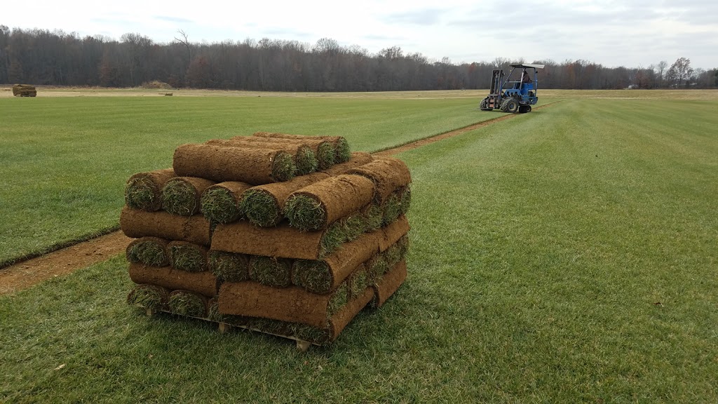 Helfrich Sod Farms Ltd | 6864 6th Conc N, Amherstburg, ON N9V 2Y9, Canada | Phone: (519) 726-6165