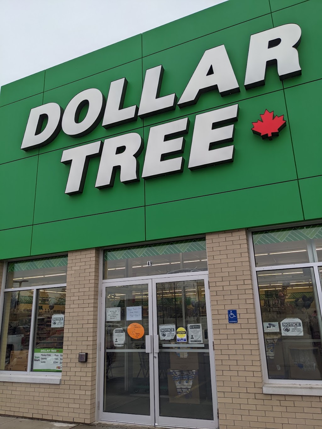 Dollar Tree | 49 Main St E, Grand Bend, ON N0M 1T0, Canada | Phone: (519) 238-6663