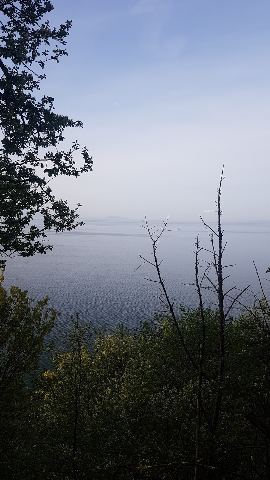 White Rock Look Out | Unnamed Road, White Rock, BC V4B 1A7, Canada