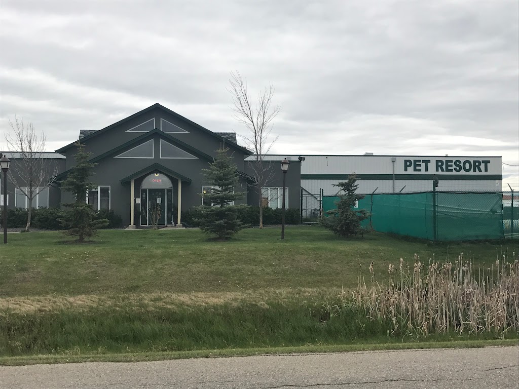 Springbank Pet Resort | 104 Commercial Ct, Calgary, AB T3Z 2A5, Canada | Phone: (403) 217-7387