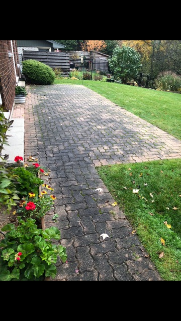 Mikes Paving Sealing and Repairs | 107 Forest Rd, Brantford, ON N3S 7L5, Canada | Phone: (519) 751-4759