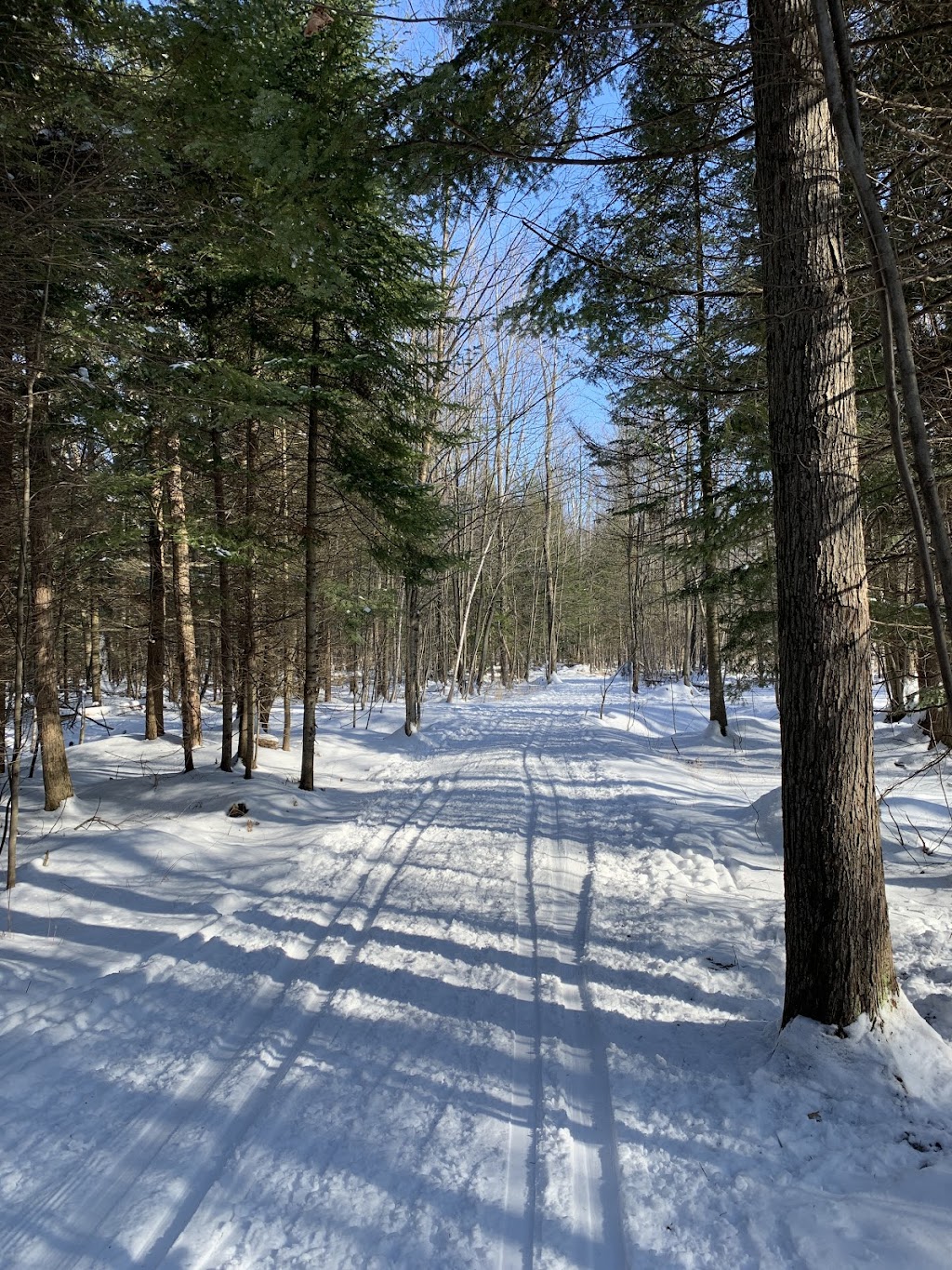 Cross-country skiing Saint-François | 1425 Rue Montplaisir, Saint-Charles-de-Drummond, QC J2C 5S7, Canada | Phone: (819) 478-5475