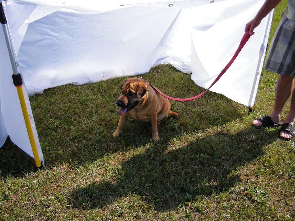 Fence In A Bag | 624 Woodward Ave, Hamilton, ON L8H 6P1, Canada | Phone: (416) 435-8540