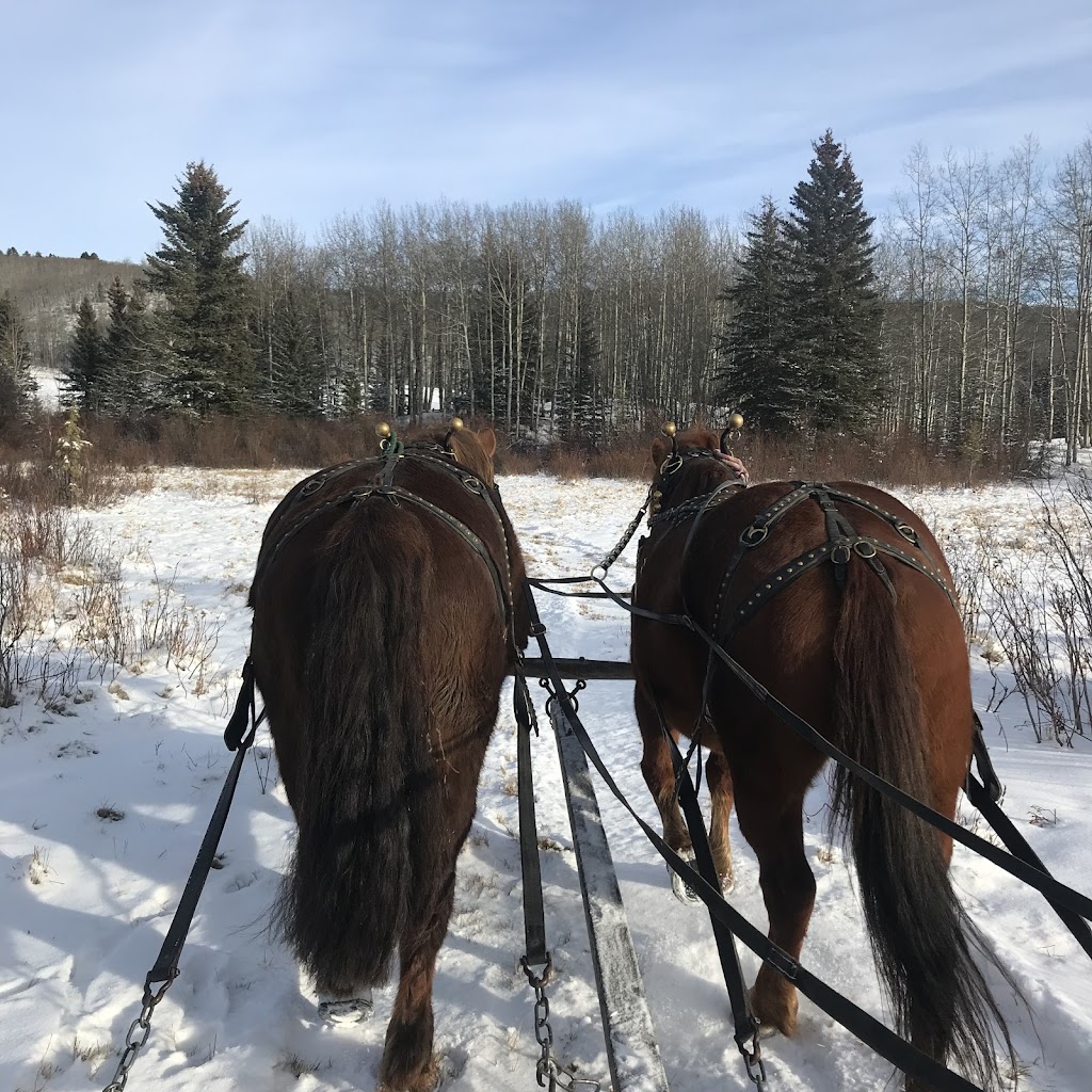 Moose Mountain Horseback Adventures | AB-762, Alberta T0L 1W0, Canada | Phone: (403) 949-3329