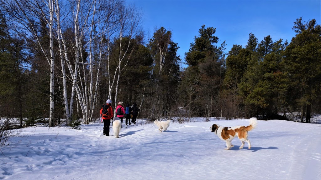 Grand Beach Cross Country Ski Trails | Unnamed Road, Grand Marais, MB R0E 0T0, Canada | Phone: (204) 754-5040