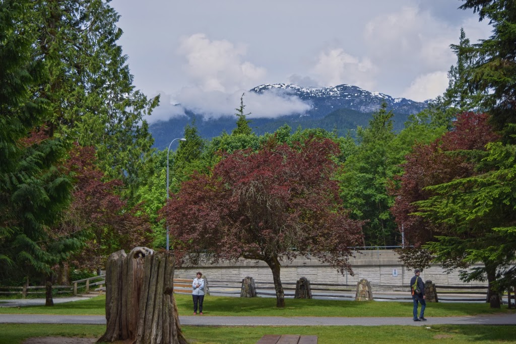 Shannon Waterfall Parking Lot | Squamish, BC V0N 1J0, Canada